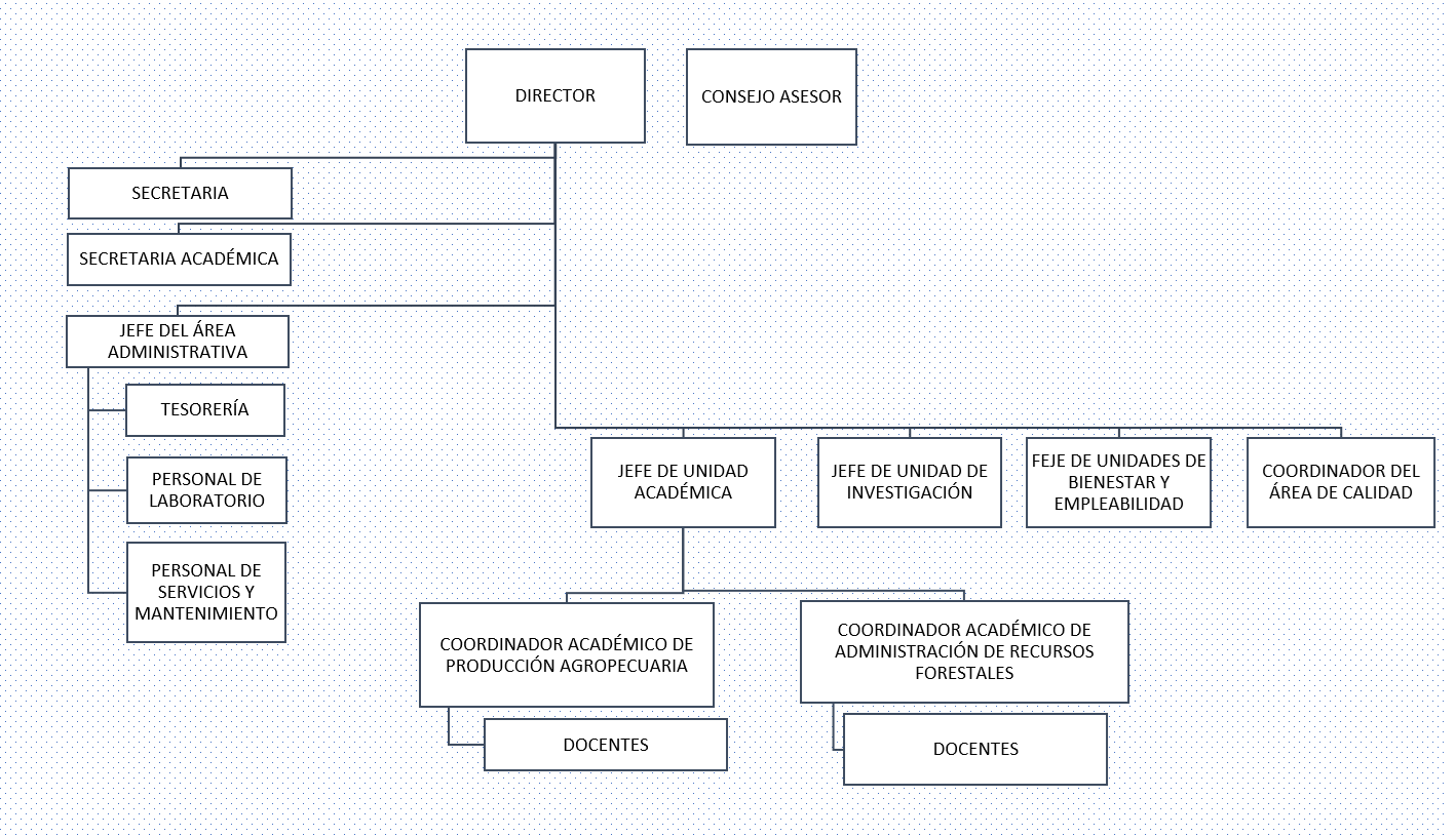 Imagen de inicio